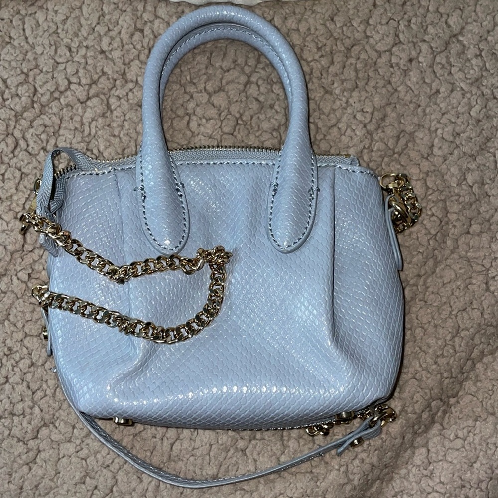 Zara mini purse